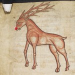 Rudolphus